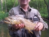 brown-trout-poland