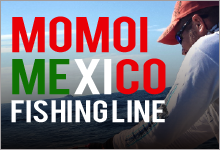 momoi fishing line mexico