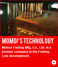 momoi's technology